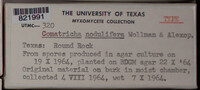 Image Associated With the Occurence